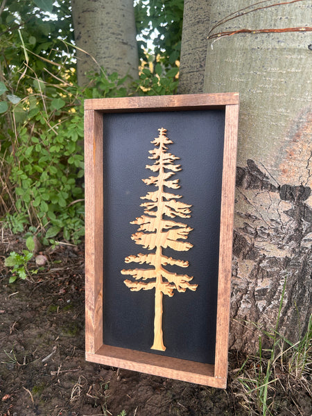 Jack Pine
